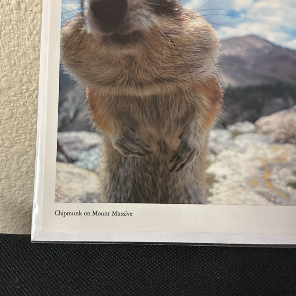 Beautiful cards - Picture 11 of 12